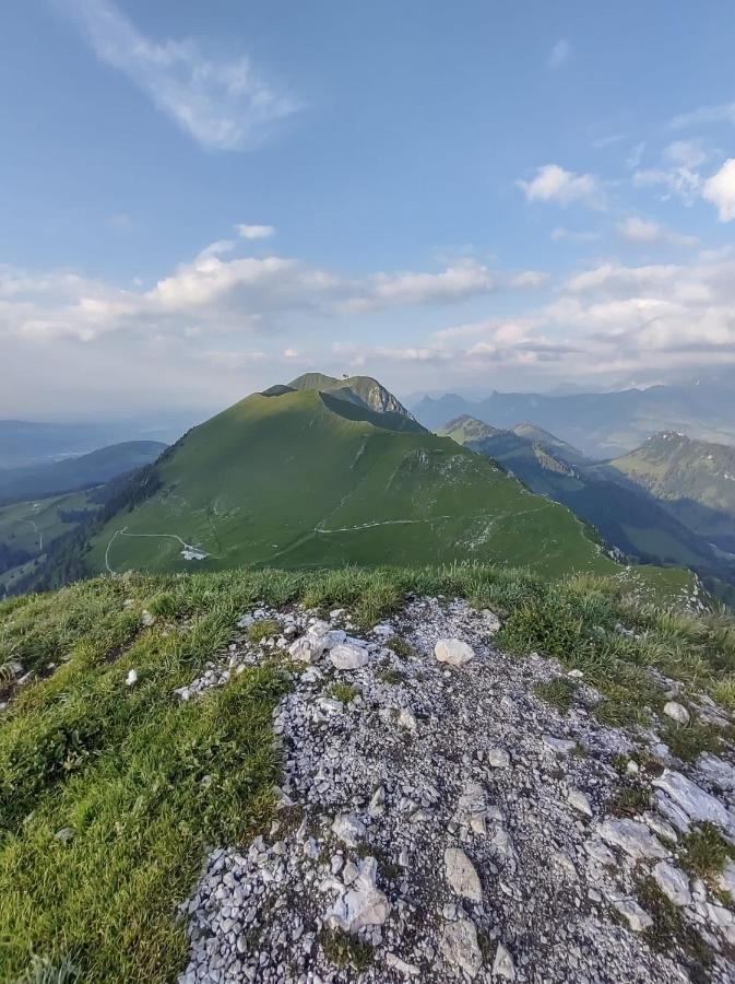 Boutique Hotel Corbetta - Spa 60M2 - La Montagne A 5 Minutes De L'Autoroute A12 Aux Paccots Sur Montreux - Nouveau Loft Familial - Profitez Du Lac Leman Et Des Montagnes En Meme Temps Les Paccots Zewnętrze zdjęcie
